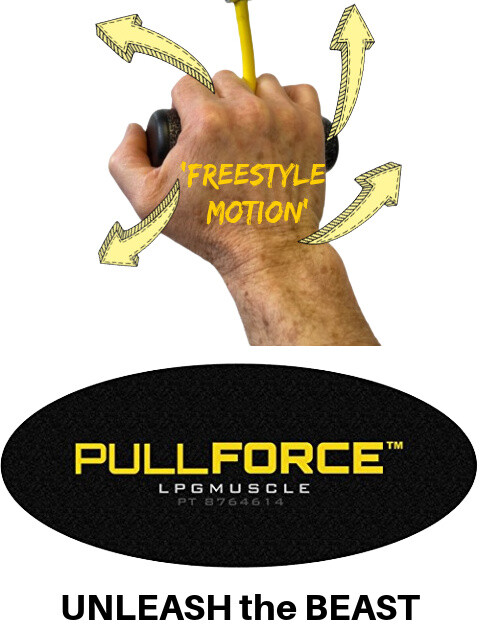 PULL FORCE 'Freestyle Motion' Pull up Handles