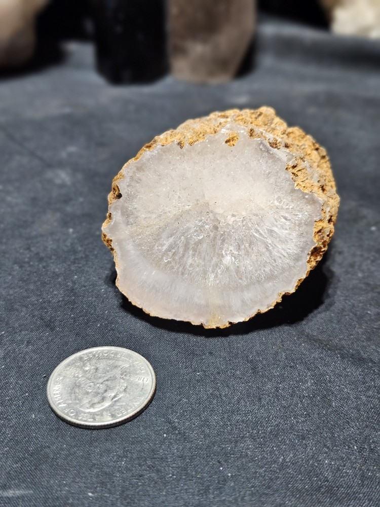 Limb Cast Crystalized w/ Multiple Rainbows (6oz)