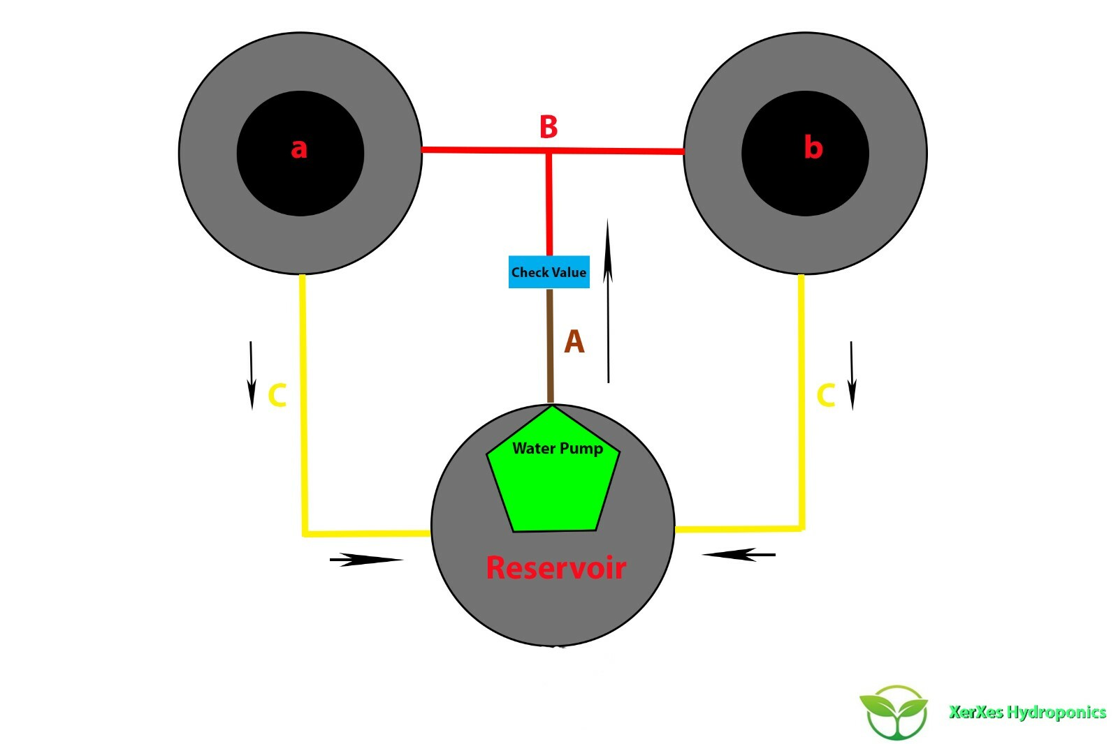 XerXe Recirculating Deep Water Culture RDWC Hydroponic System,5 Gallon