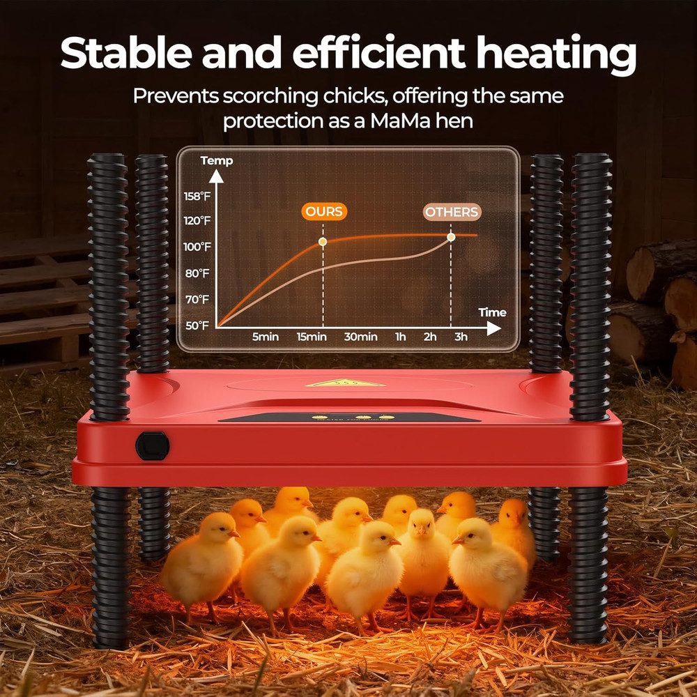 Winter Chick Brooder Heating Plate, Adjustable Temp & Height, Energy Efficient