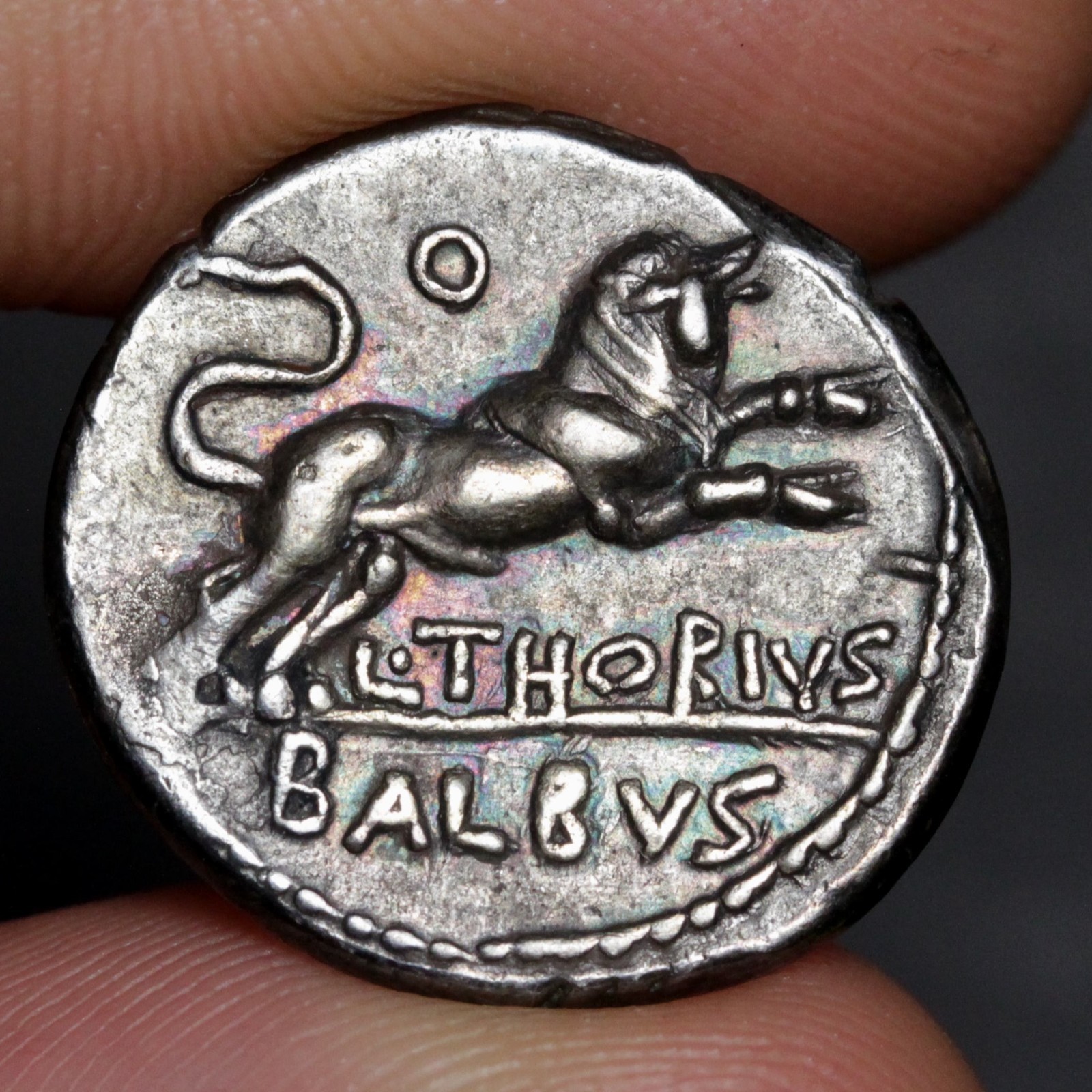 Charging Bull Denarius 105BC Ancient Roman Republic Silver Coin Thorius Balbus