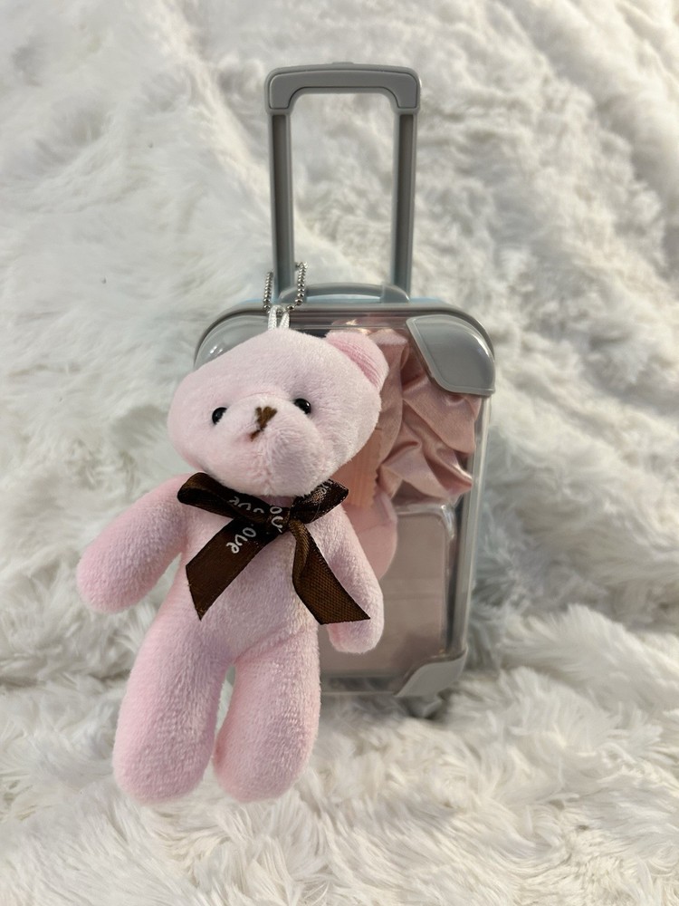 Large Mini Luggage Storage Container