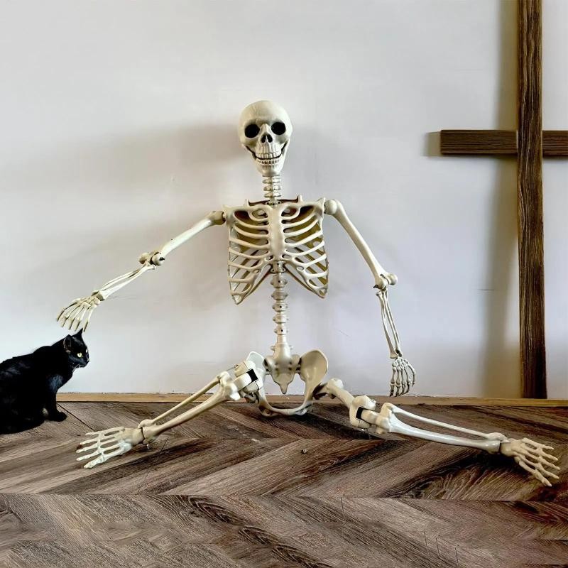 Halloween Realistic Body Bones Life Size Human Skeleton with Posable Joints
