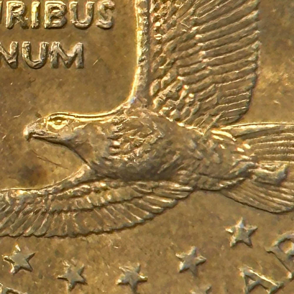2000-P Sacagawea Dollar Wounded Eagle / Speared Eagle Variety. FS901 CIRCULATED!