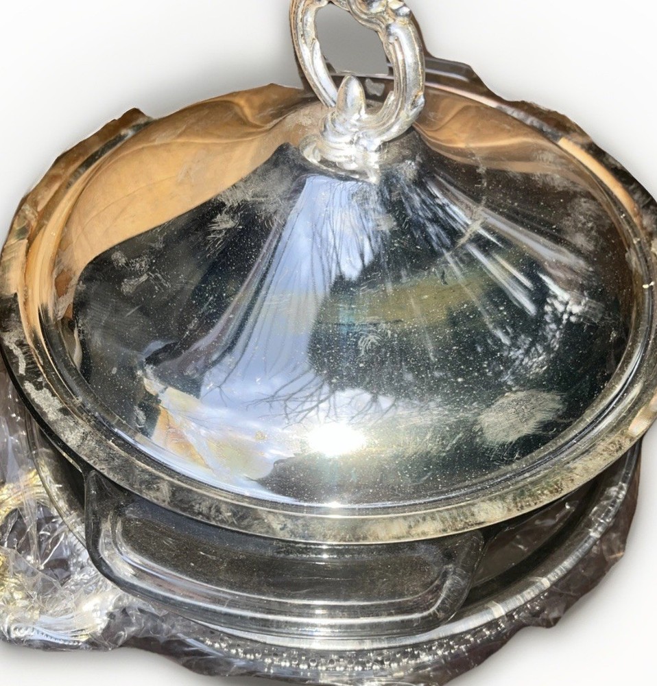 International Silver Company Silver Plated Duo- Server Includes Removable 2qt
