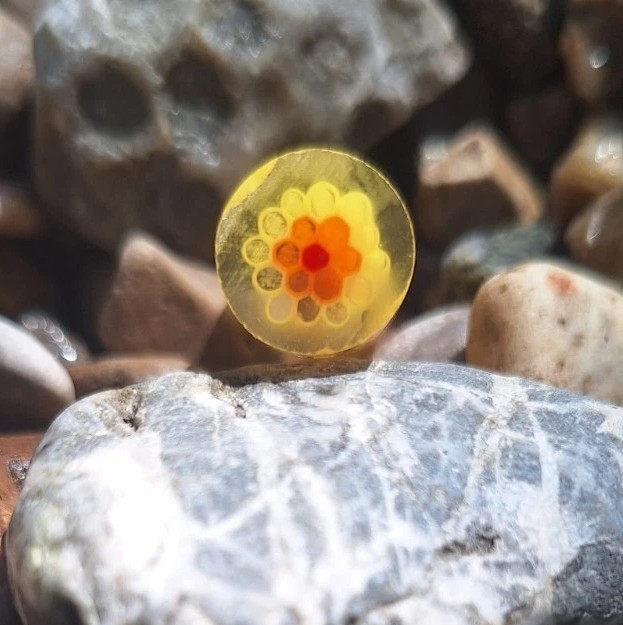 33 Coe Borosilicate Glass Multicolor Honeycomb Image