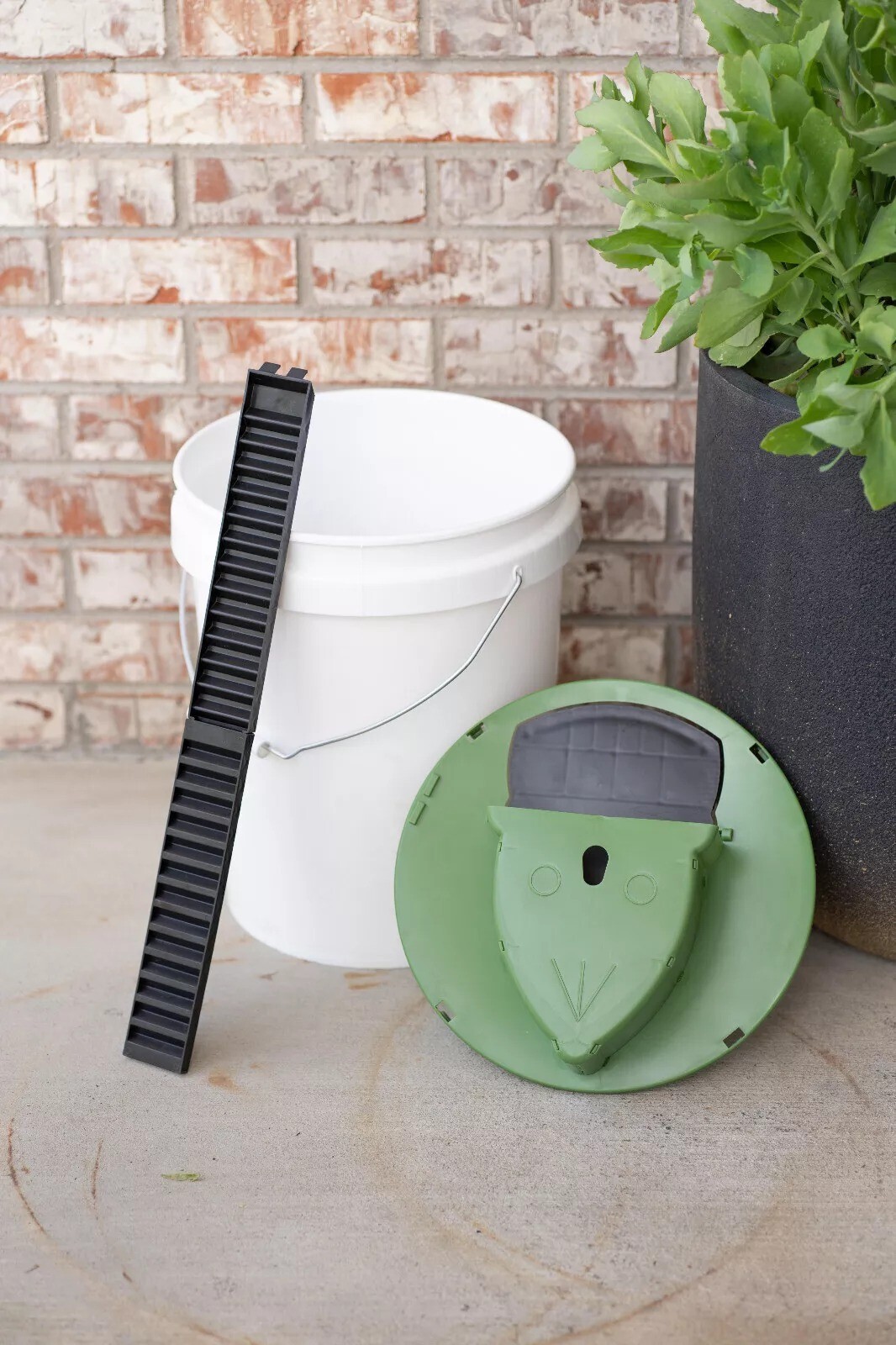 Humane Mouse Rat Trap, 3PACK Rats Trap Bucket Lid Catcher with Ramp Mousetraps