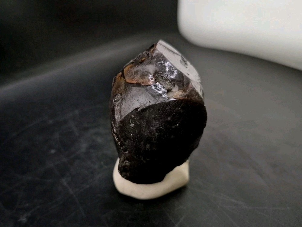 Real Fossil Dinosaur Egg Opalized