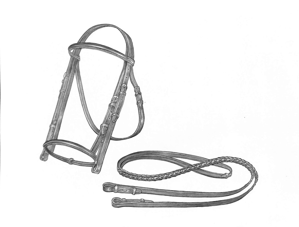Raised Show Bridle Graphite Drawing