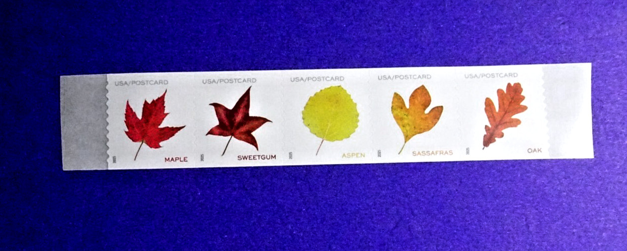 US 5971-5975 VIBRANT LEAVES ND POSTCARD (F) RATE COIL STRIP OF 5 EXCESS BACKING*