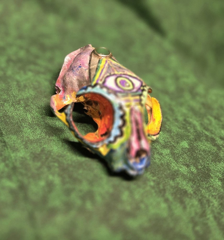 Hand Painted Genuine Cat Skull