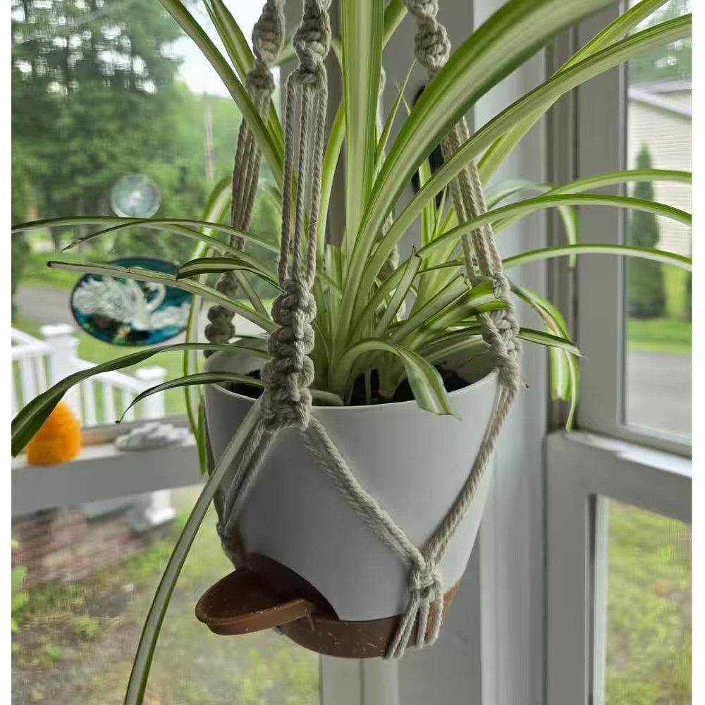 Plastic Indoor/Outdoor Hanging Planter with Macrame 3 Different Size (3-Pack)