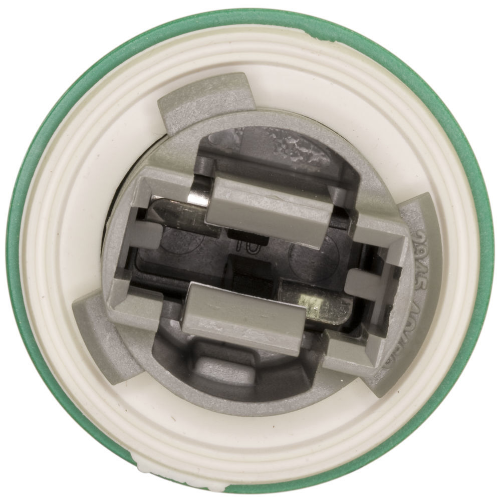Back Up Light Socket WVE 1P1451