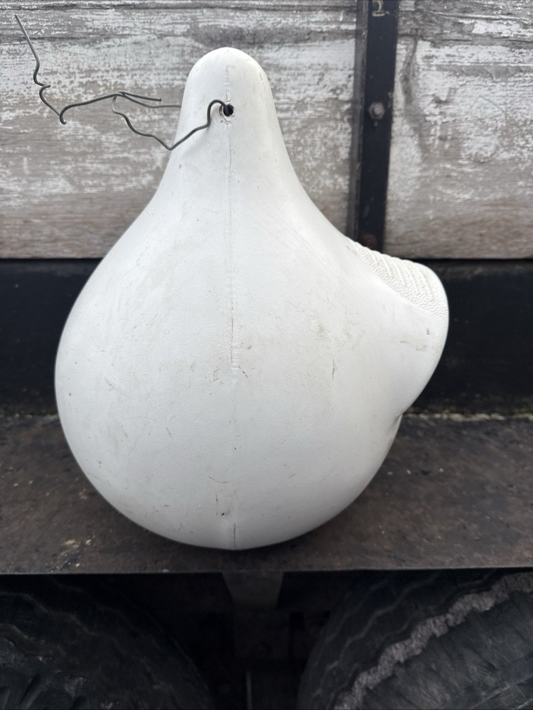 Birds, Paradise Birdhouse