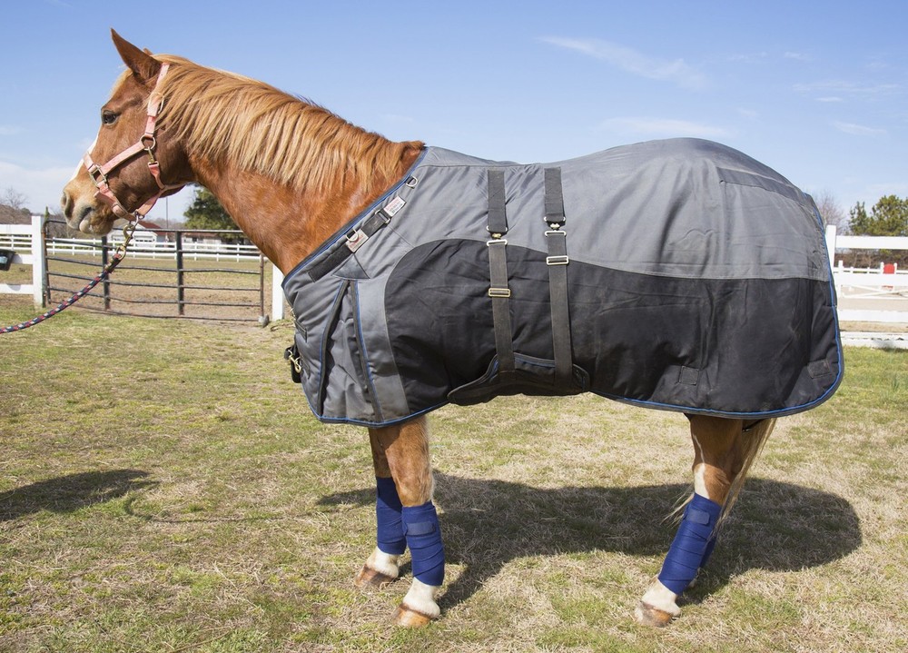 Polo Wraps Full Set, Black