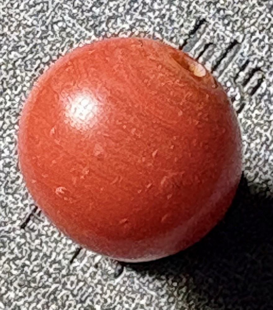Natural Ancient Carnelian Bead .75”