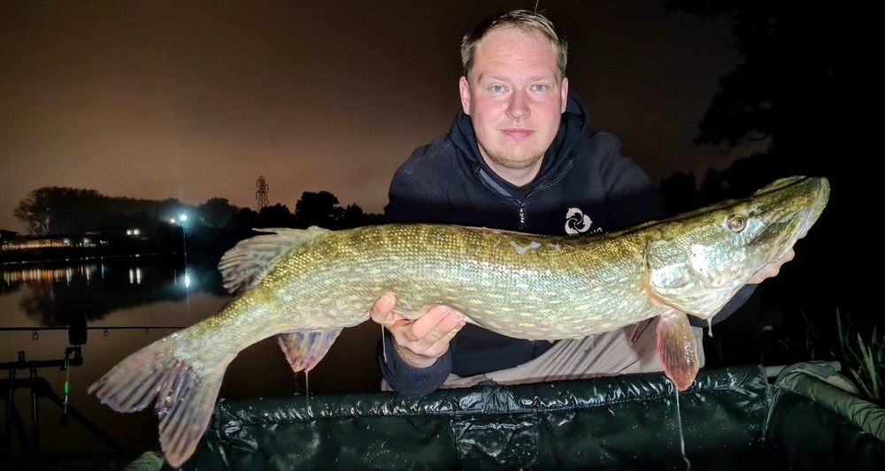 4 Pike Deadbait Rigs – Fox Rage Treble Hooks – Predator Traces - PIKE RIGS UK