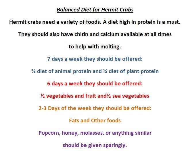 Herring - Hermit Crab Food