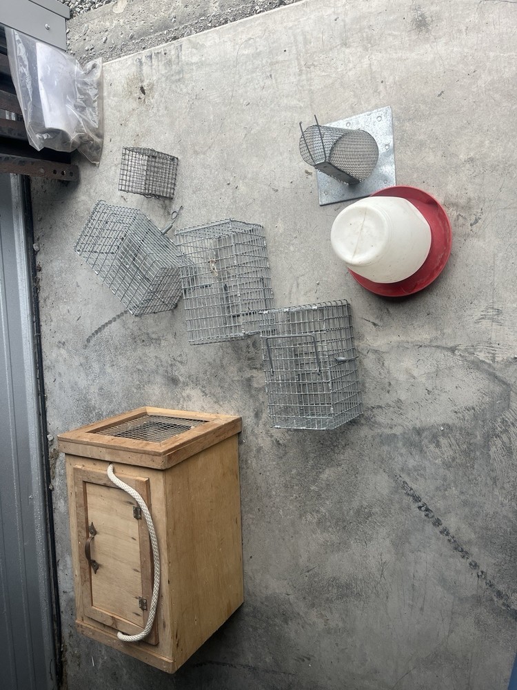 Dog training equipment, bird handling boxes