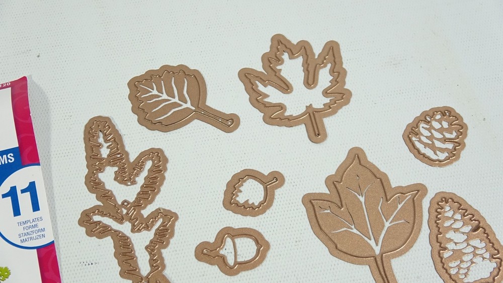 Spellbinders Shapeabilities Fall Foliage Craft Dies S5120