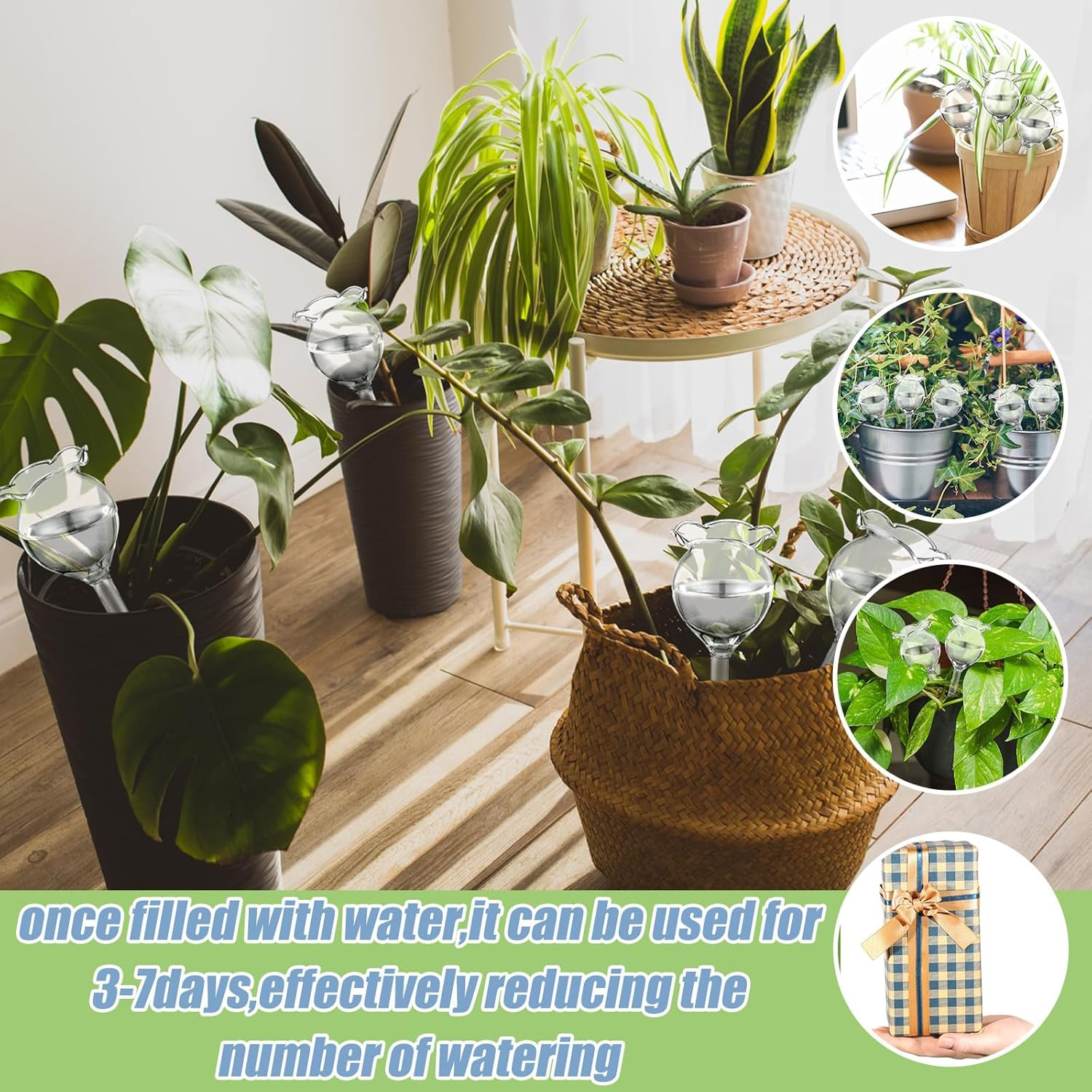 6 Pcs Self Watering Plant Globes Glass Cactus Insert Watering Devices Automatic