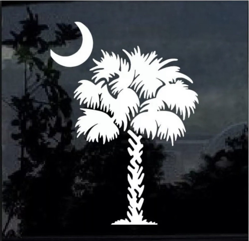 Palm Tree and Moon SC Decal