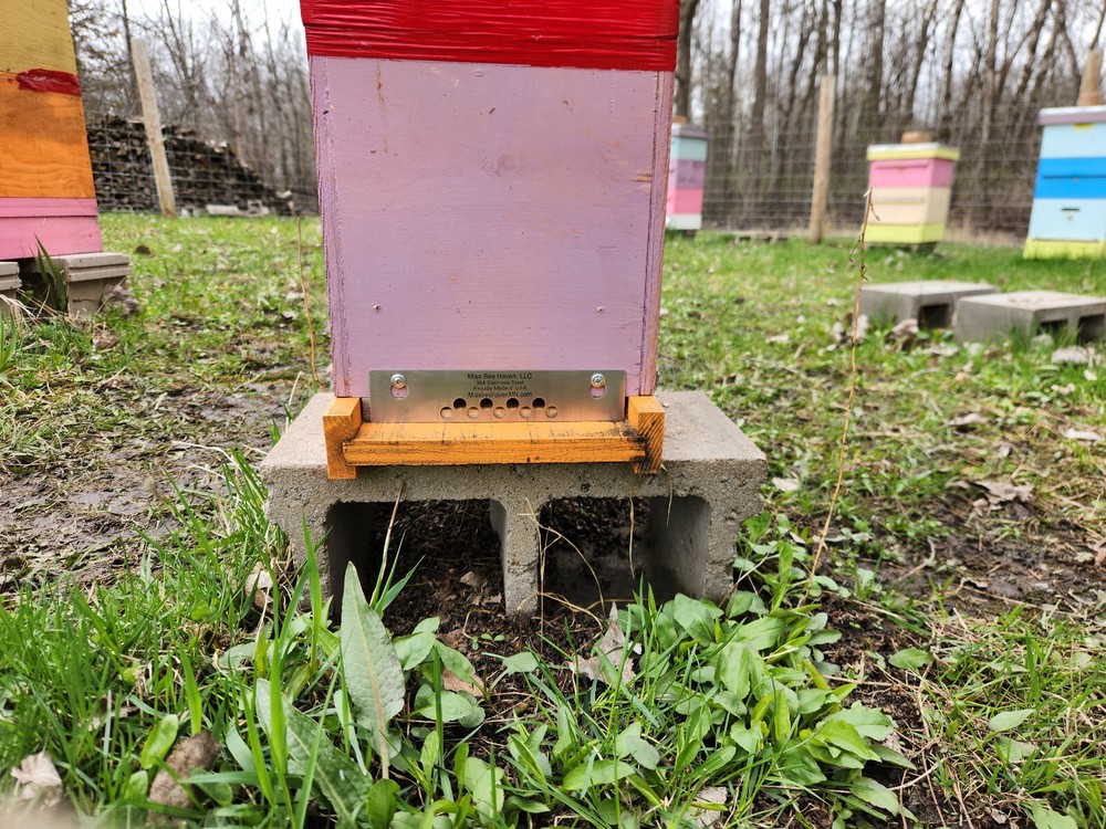 Mouse Guard, 5 Frame Nuc 7-3/4"