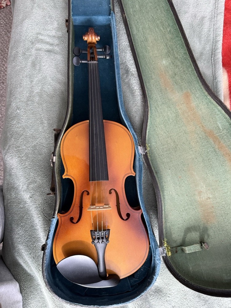 Violín