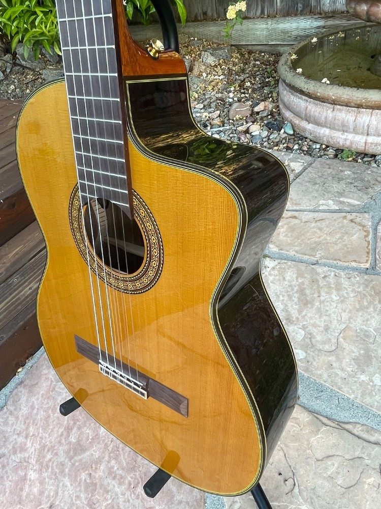 Takamine Classical Nylon String Guitar Model TC132SC