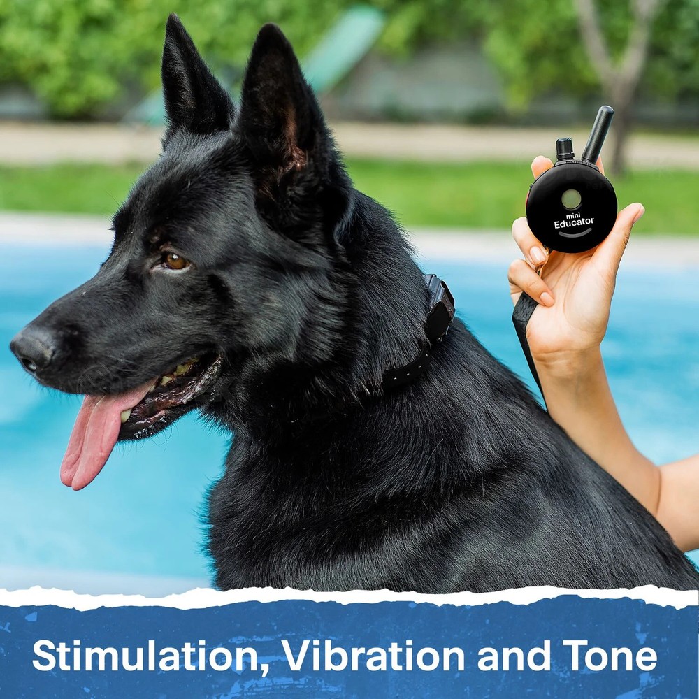 Mini Educator ET-302 Remote Dog Training Collar Black by E-Collar Technologies