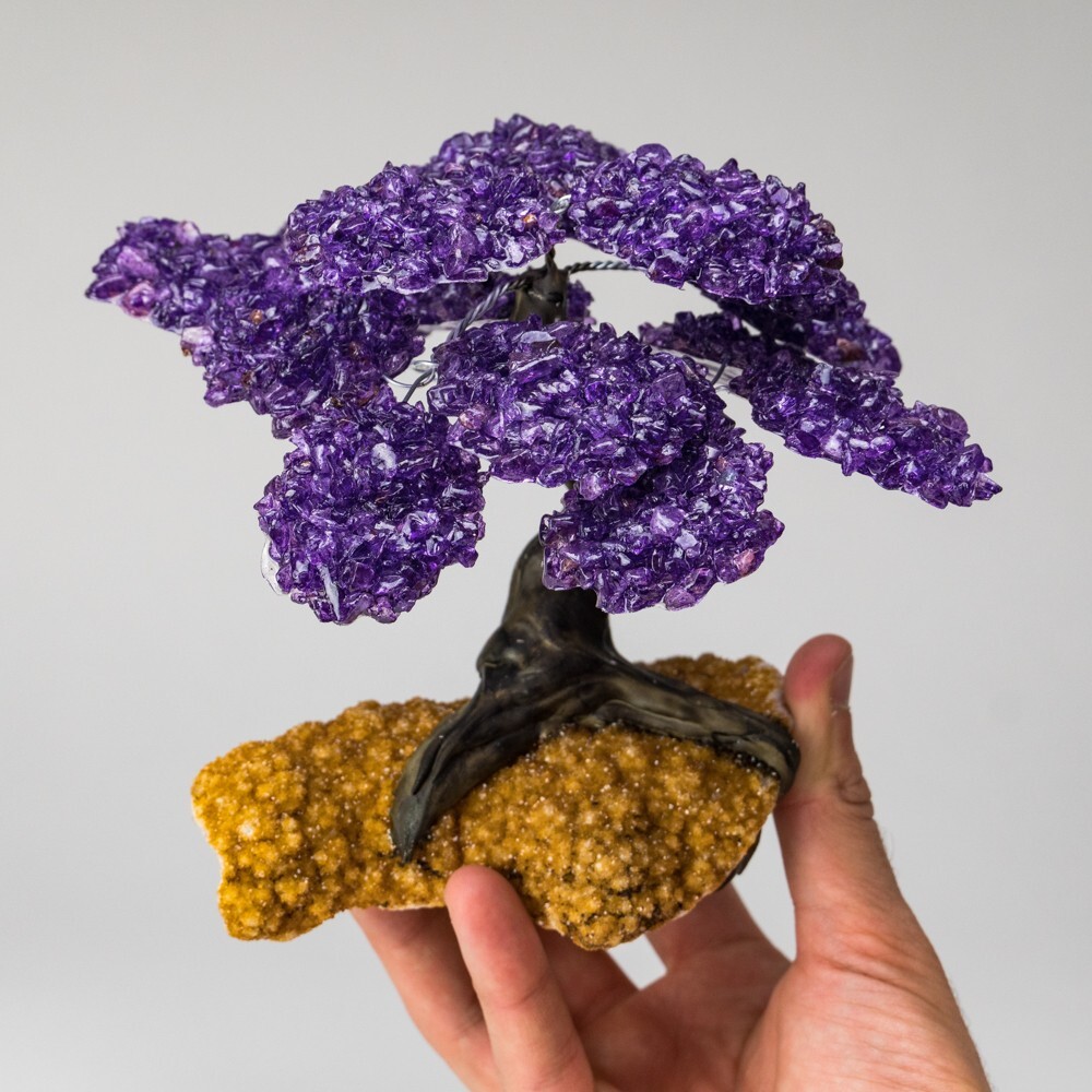 Amethyst Clustered Gemstone Tree on Citrine Matrix (The Empowerment Tree) 7"
