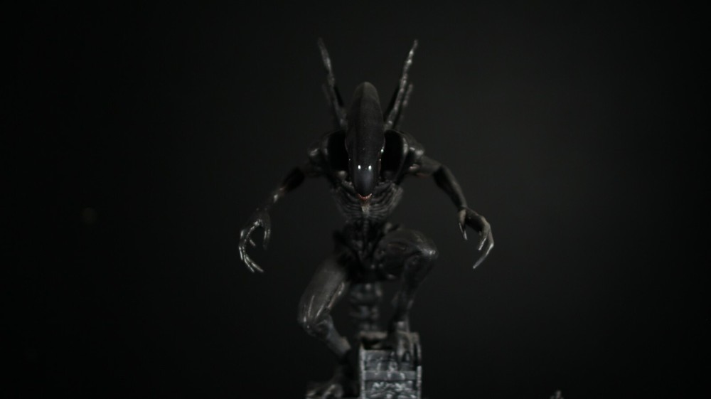 Alien Xenomorph With Eggs 3D Print Diorama Model