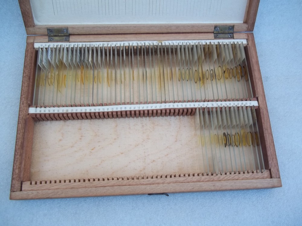 Vintage Glass Microscope Slides