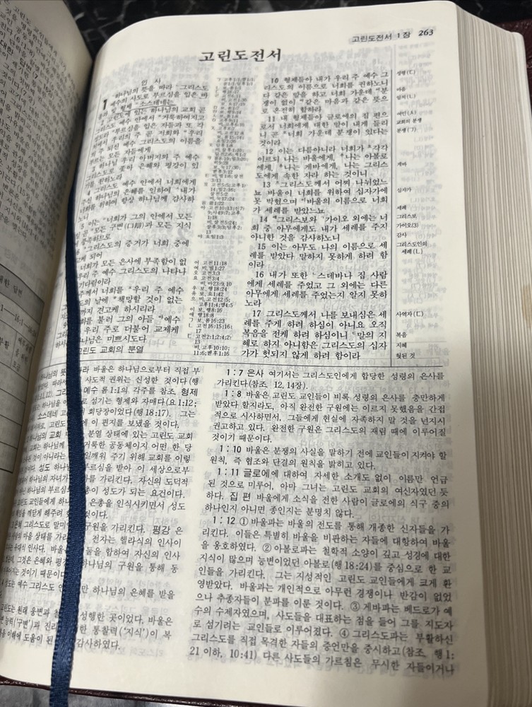 Korean New Thompson Annotated Chain Reference Bible 100th Anniversary Edition