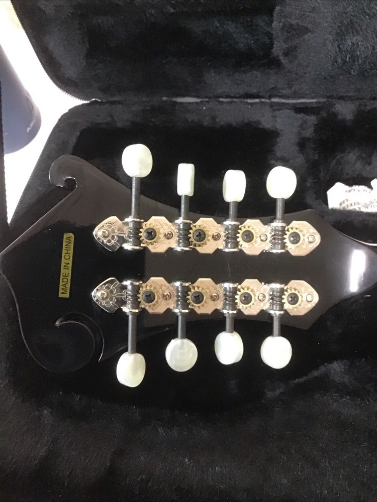 Johnson Model MF-100-B Mandolin with Hardshell Gig Bag