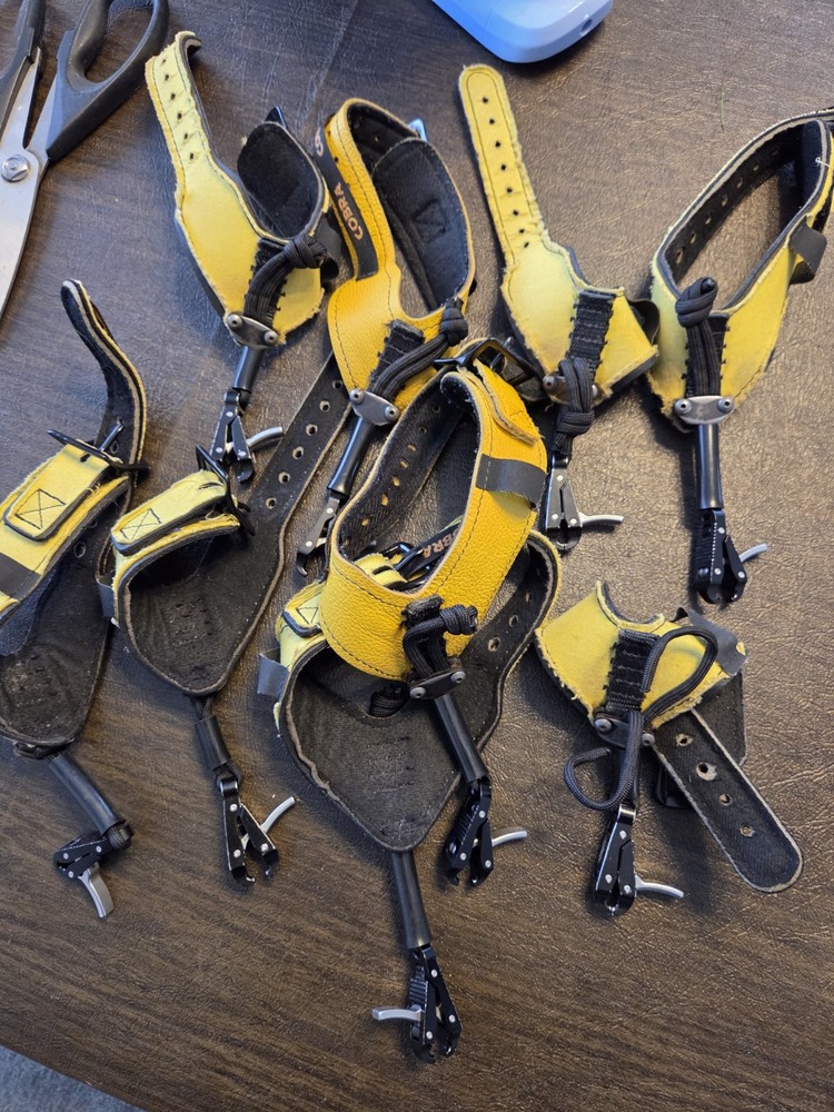 9 Cobra Range Rental Releases
