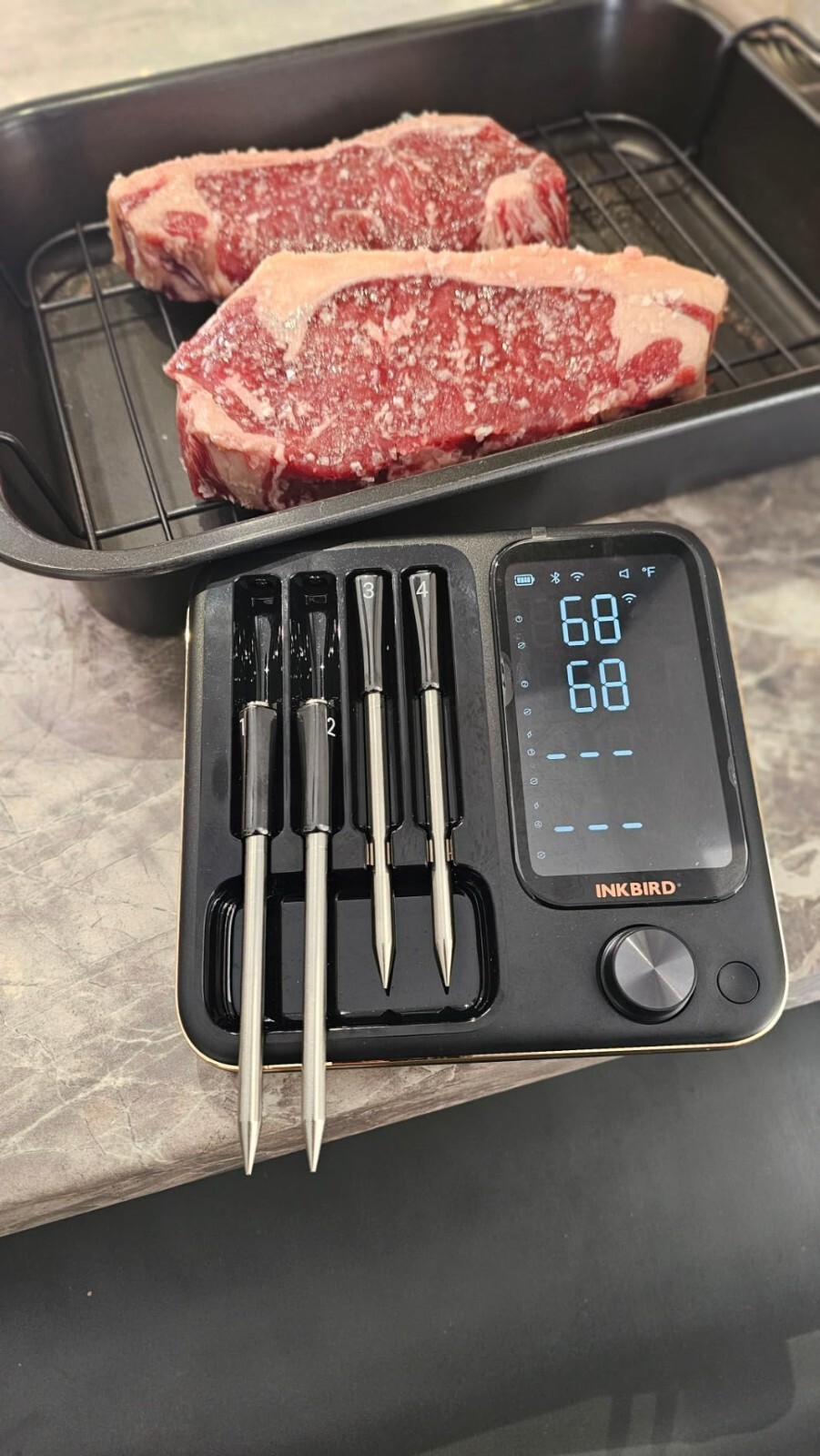 4-Probe Wireless Meat Thermometer Three-Mode WiFi Bluetooth Pre-alarm/Timer BBQ