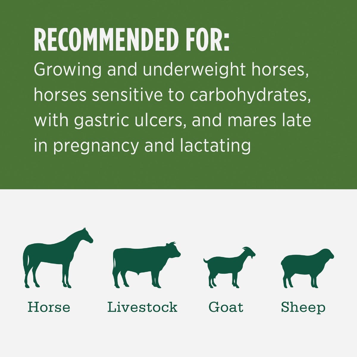 Standlee Premium Western Forage 50 Lb. Certified Alfalfa Grab & Go Compressed