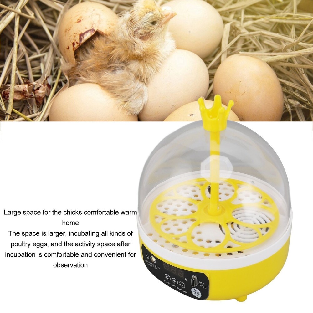 Mini Egg Incubator for Home Automatic Temperature Humidity Control 4 Eggs