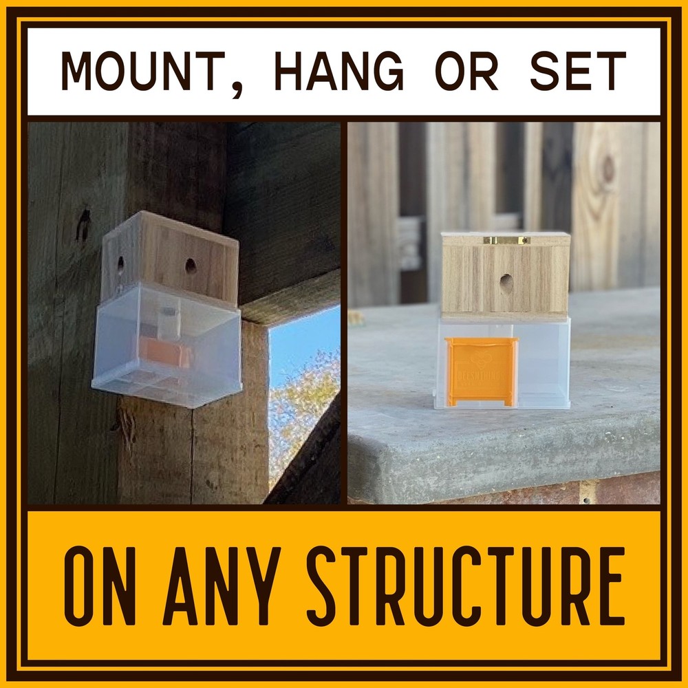 Bees N Things Outdoor Carpenter Bee Trap