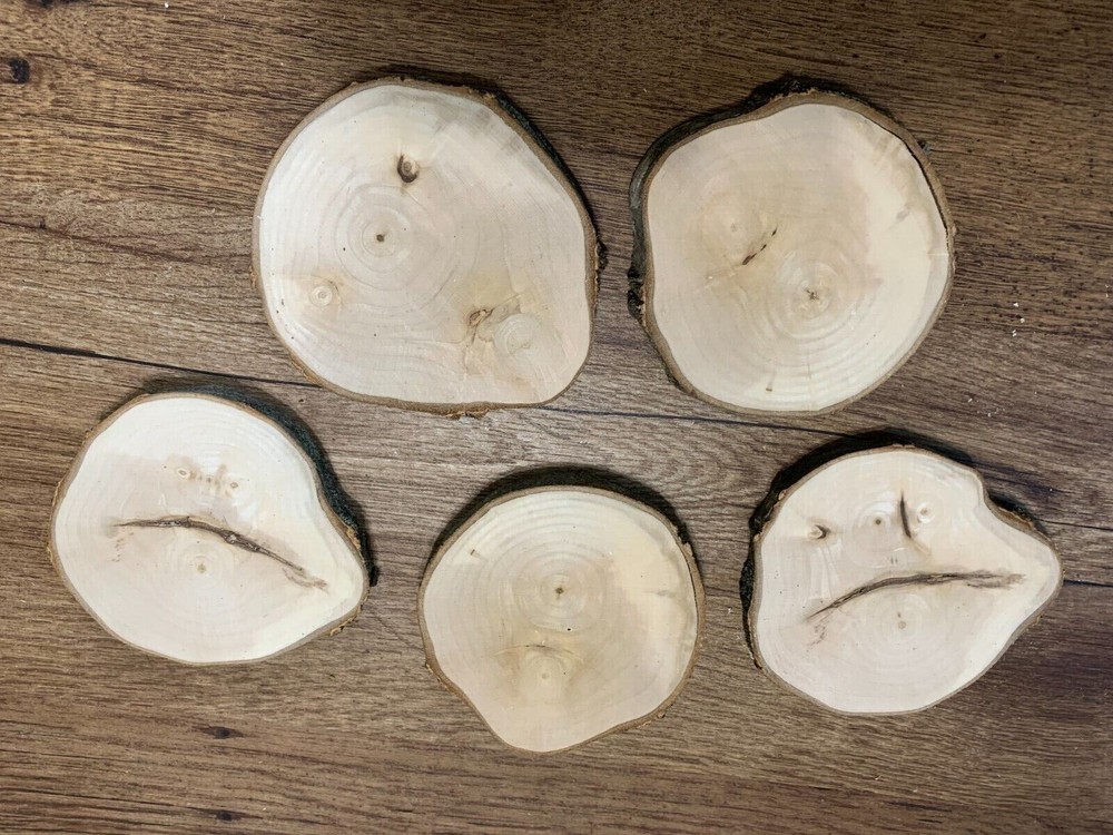 Maple Log Slices 4 Plus Inches Diameter, 5 Count