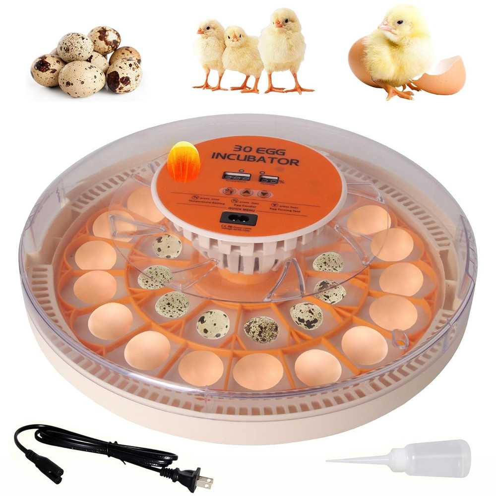 30 Egg Automatic Incubator with Thermometer, Humidity Control & Egg Candler