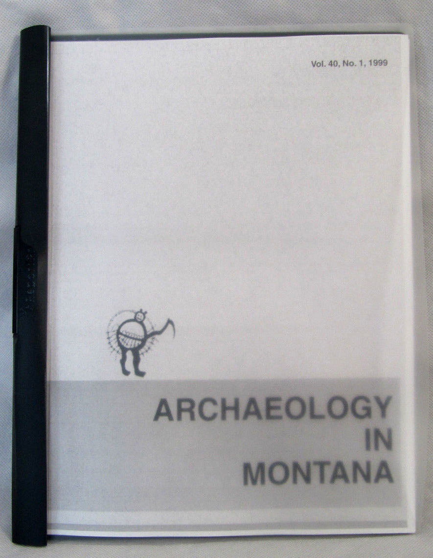 Buffalo Skull Bison Native American Natural History Old Fossil Artifact Decor