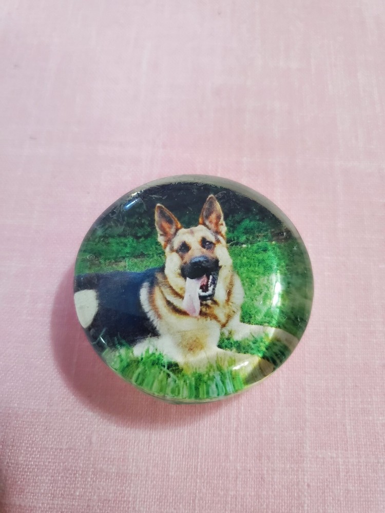 4 GERMAN SHEPHERD MAGNETS