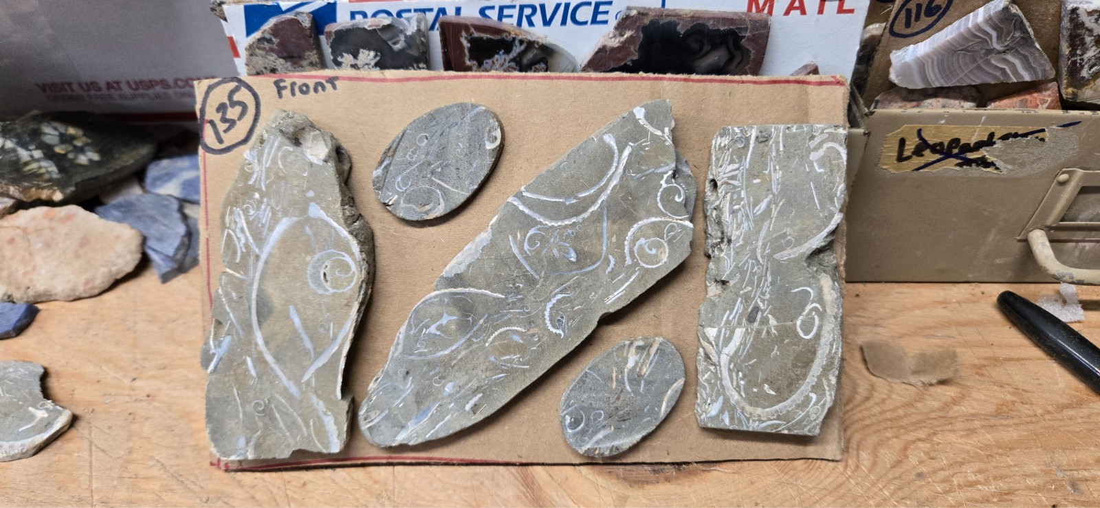 Purisma Formation Fossil Limestone, Cabochon Slabs Preforms 13 Pcs, Flat 135