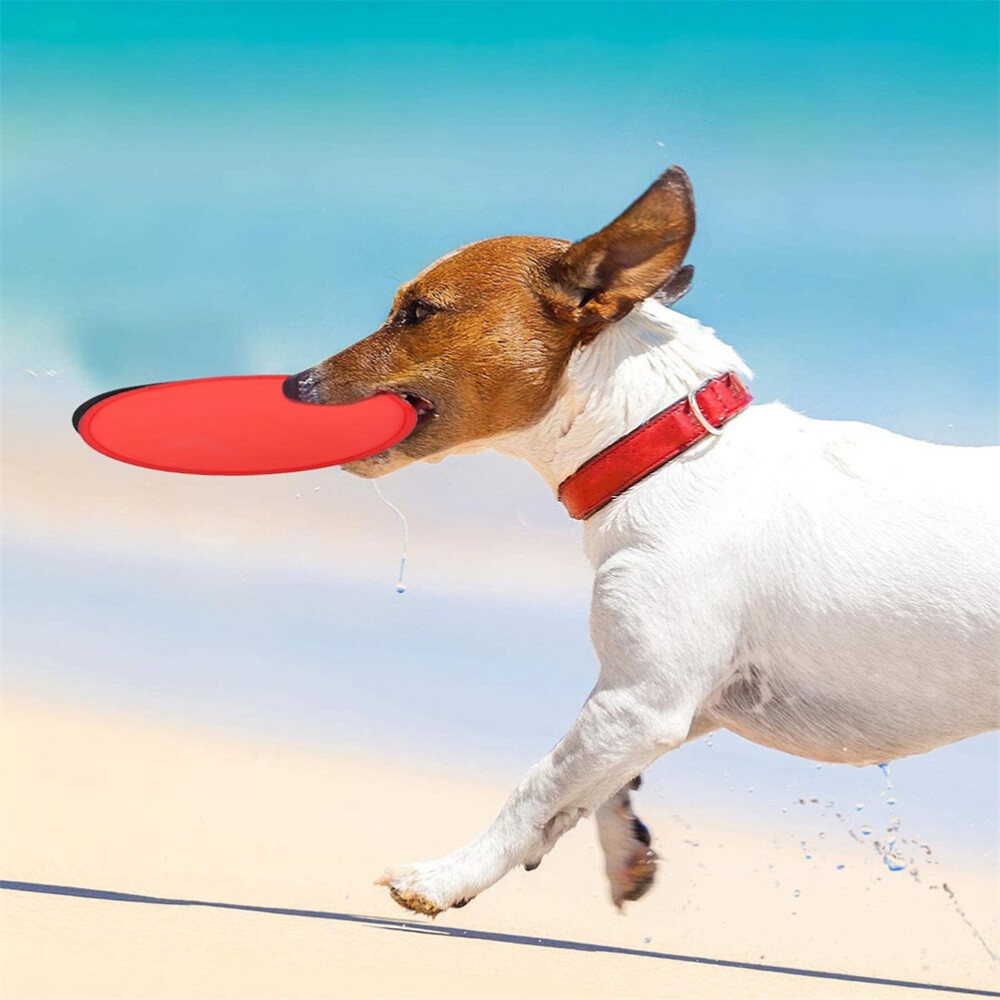 16pcs Foldable Flying Disc Flying Plate Plaything Foldable Fan Random Color