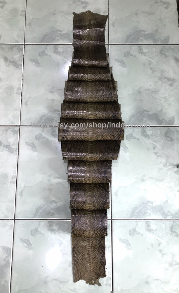 Genuine Python Leather, Exotic Snake Skin, Green SnakeSkin, Green Python Leather