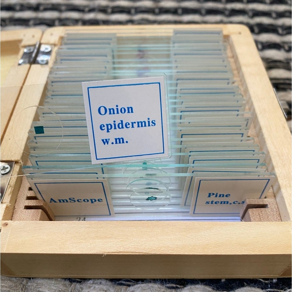 AmScope 25 Piece Set of Prepared Microscope Glass Slide Box