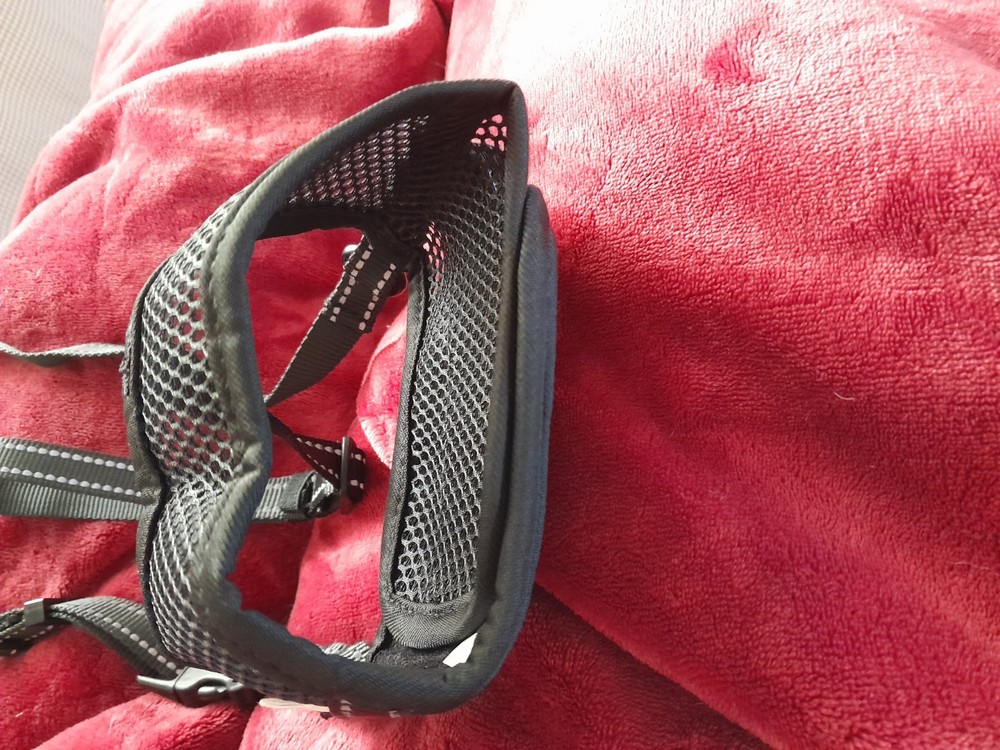 Bonthee Dog Muzzle Breathable Soft Mesh Adjustable XXL, 1582k