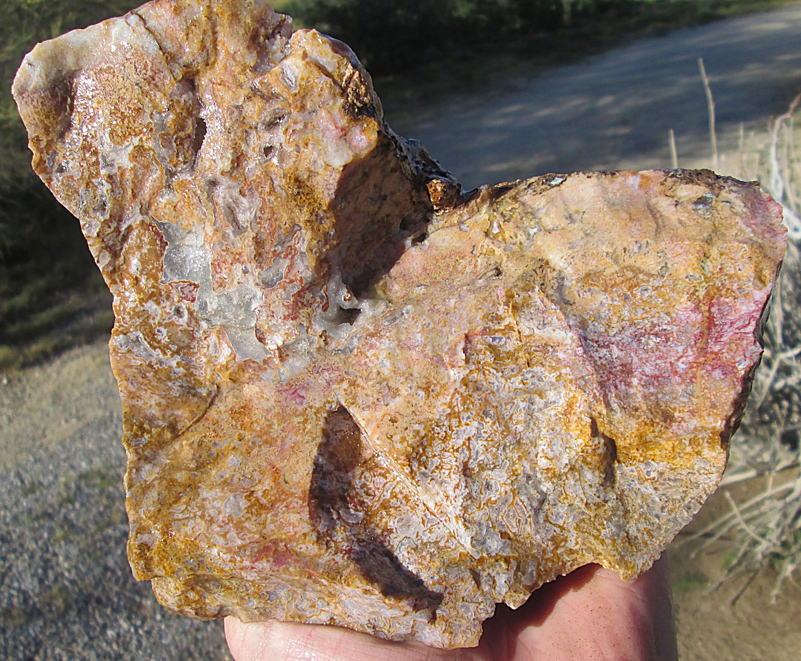 AGUA NUEVA MOSS AGATE ROUGH ~ 5lbs 12.3ozs